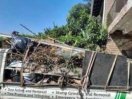 Best Attic Cleanout  in Orangeburg, SC